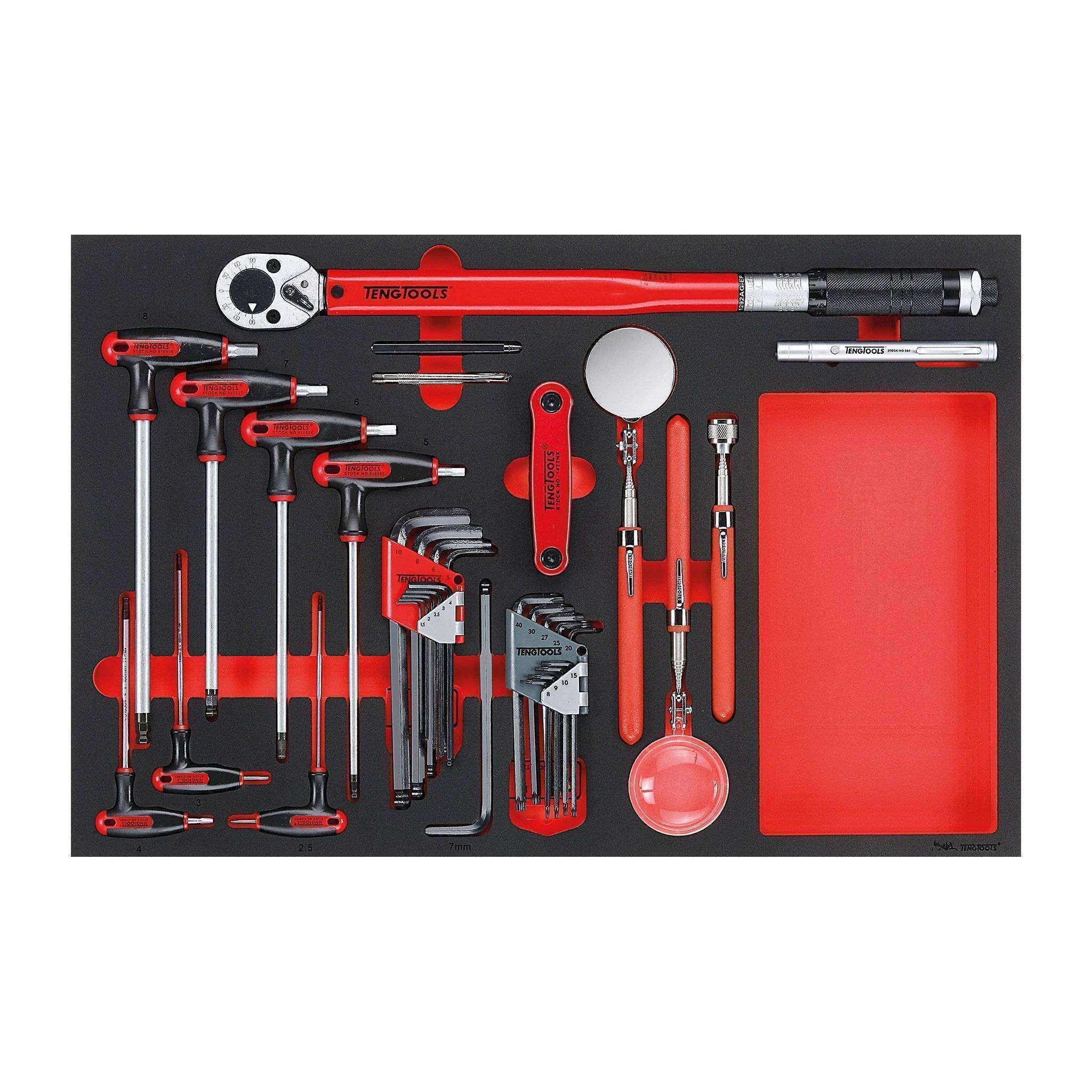 Teng Tools �C 17 Piece Hex, Torque and Inspection Set in EVA �C TEN-O-TTEX17