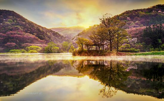 缺货预定 203new products