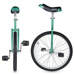 24 Inch Astonishing Green Mountain Bike In 24��� Wheel Frame Unicycle Cycling Bike