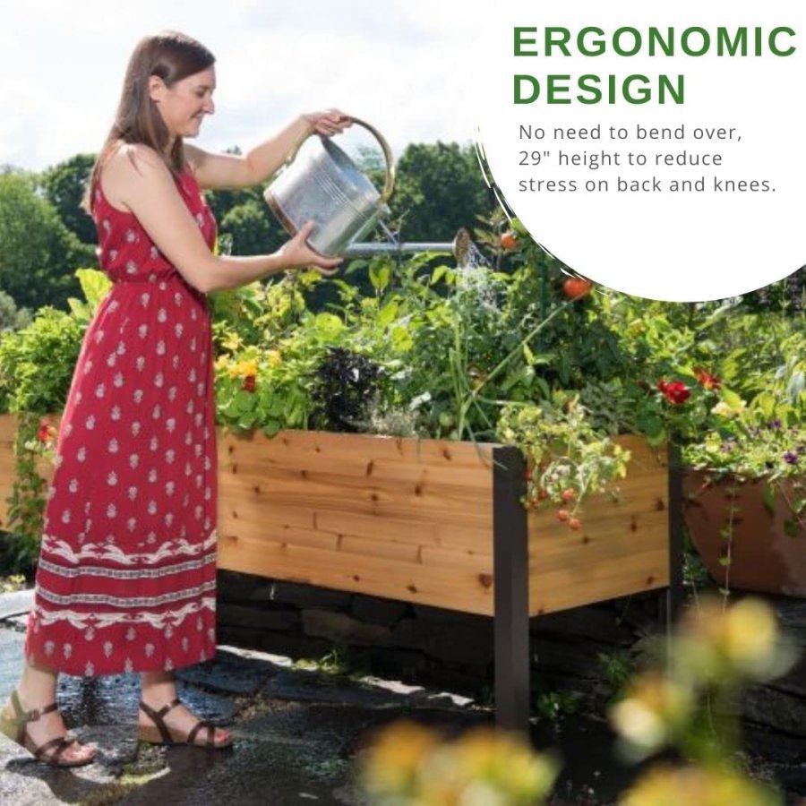 Raised Garden Bed Raised Cedar Planter, 2' X 8' Standing Garden Provides 16 Square Feet of Planting Space