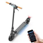 Electric Scooter for Adults, 350w Motor & Max Speed 15.5 Mph, 10�� Shock