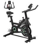 REHOOPEX Exercise Bike �C Silent Belt Drive Stationary Bike, LCD Monitor- Mint Green