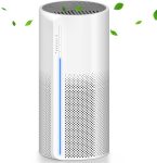True HEPA Air Purifiers for Home For Smoke, Dust, Dander, Hair, Smell, 3 Filtration System for bedroom