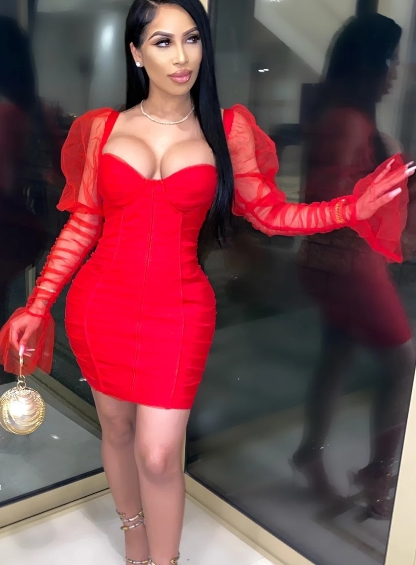 Sexy Vintage Party Dress with Mesh Sleeves