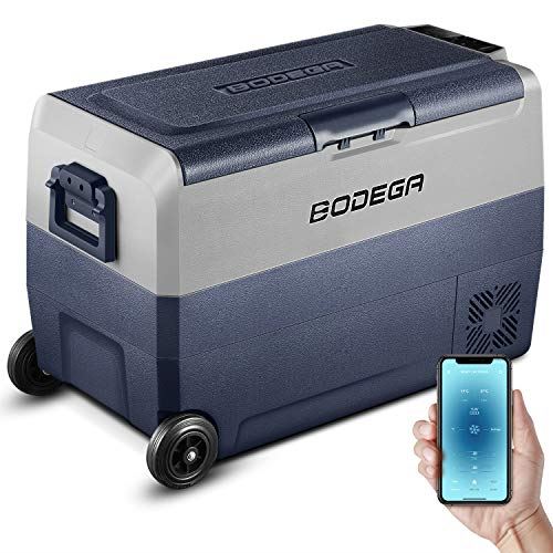 Portable Freezer, Car Fridge Dual Zone APP Control, 53 Quart(50L)