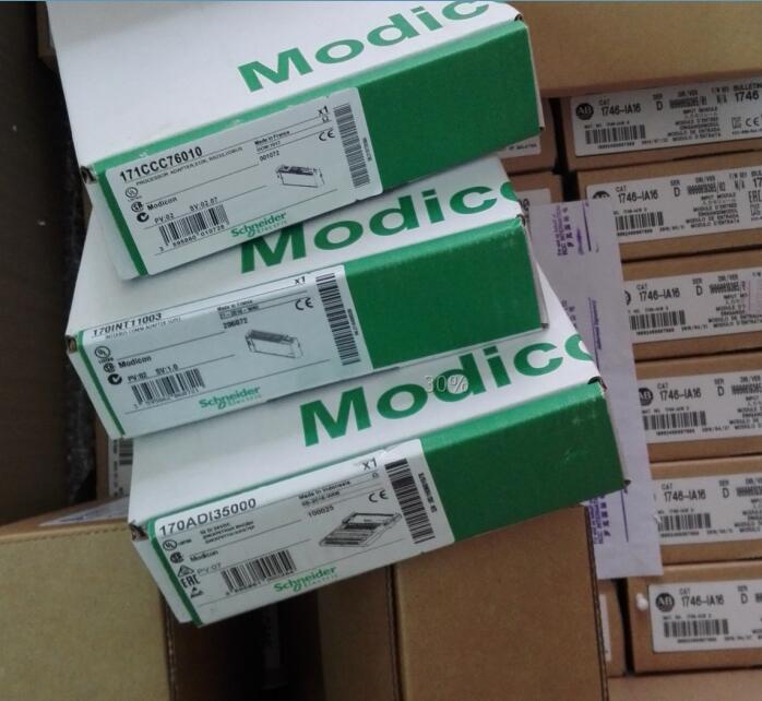 170INT11003 Schneider Modicon Momentum Brandy Original Factory Sealed New