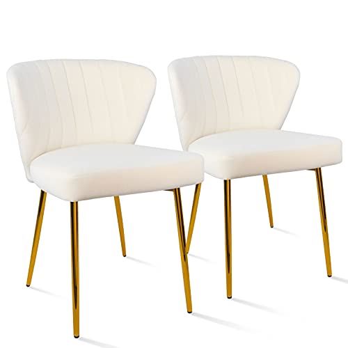 Modern Dining Chairs, Velvet Accent Chair, Living Room Chairs, Set of 2,