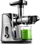 Cold Press Juicer with Two Speed Modes, 2 Travel bottles(500ML)