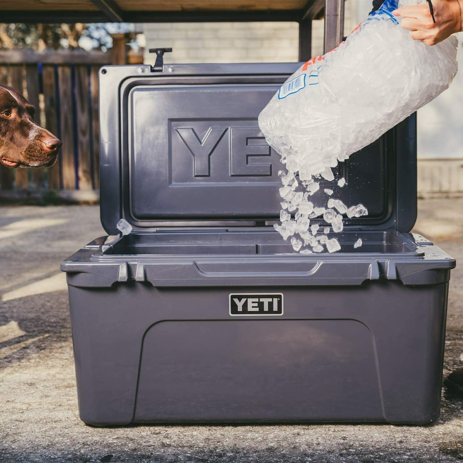 YETI Tundra Haul portable 65 inch cooler
