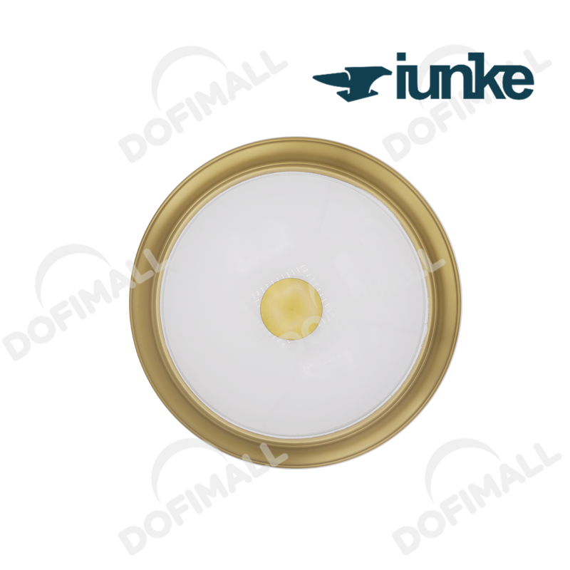 LÁMPARA PARA TECHO 310MM