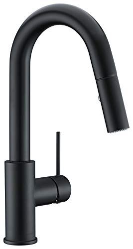 Faucet or Prep Kitchen Sink Faucet with Pull Down Sprayer and Single Handle