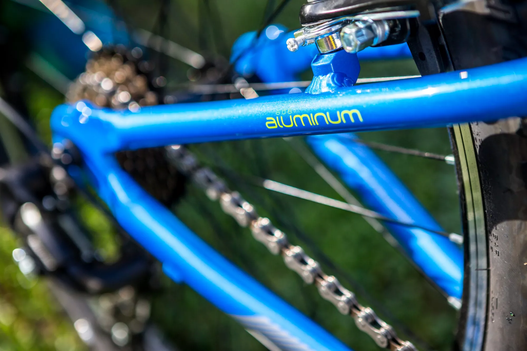 Schwinn Signature Boys' Thrasher 24'' Mountain Bike