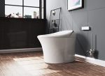 Elongated One Piece Intelligent toilet with Auto Open/Close Lid, Warm Seat