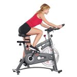 Sunny Health & Fitness Magnetic Belt Bike