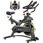 Cyclace Exercise Bike Stationary 330 Lbs Weight Capacity- LCD Monitor