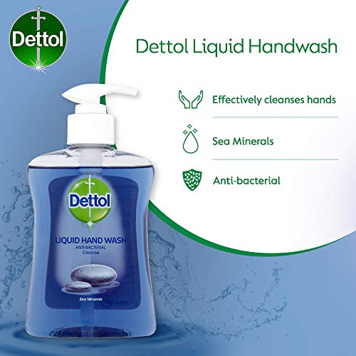 Dettol 洗手液(海洋矿物质)