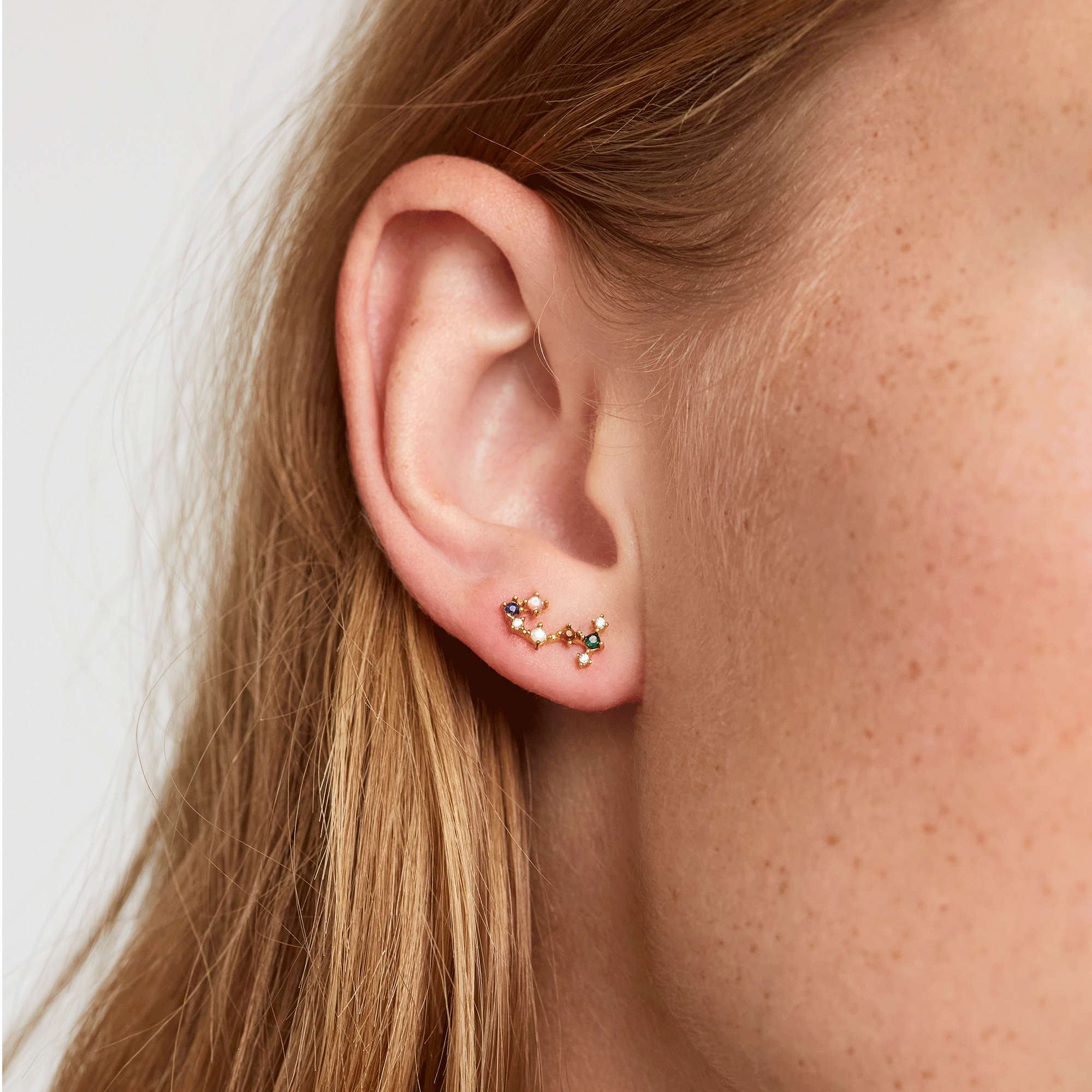 Zodiac Constellations Earrings