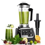 Professional Blender for Kitchen, 2200 Watt Countertop Smoothie Blender