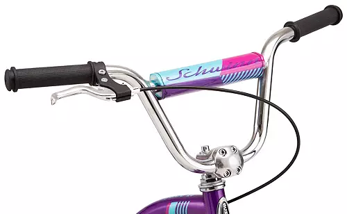 Schwinn Signature Girls' SunnySide 20'' Bike