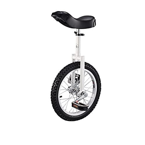 Outdoor Large Wheel Unicycle with Fat Tire, Adjustable Saddle