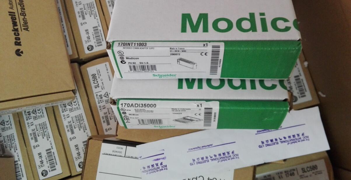 170INT11003 Schneider Modicon Momentum Brandy Original Factory Sealed New