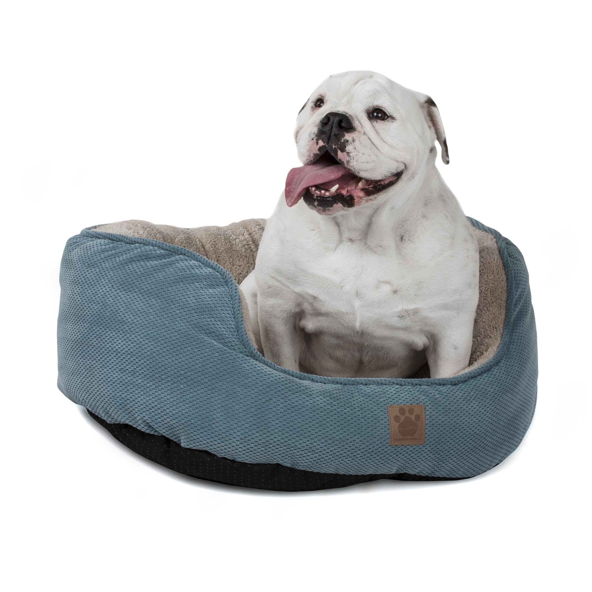 Precision Pet SnooZZy Mod Chic Daydreamer Pet Bed, Teal