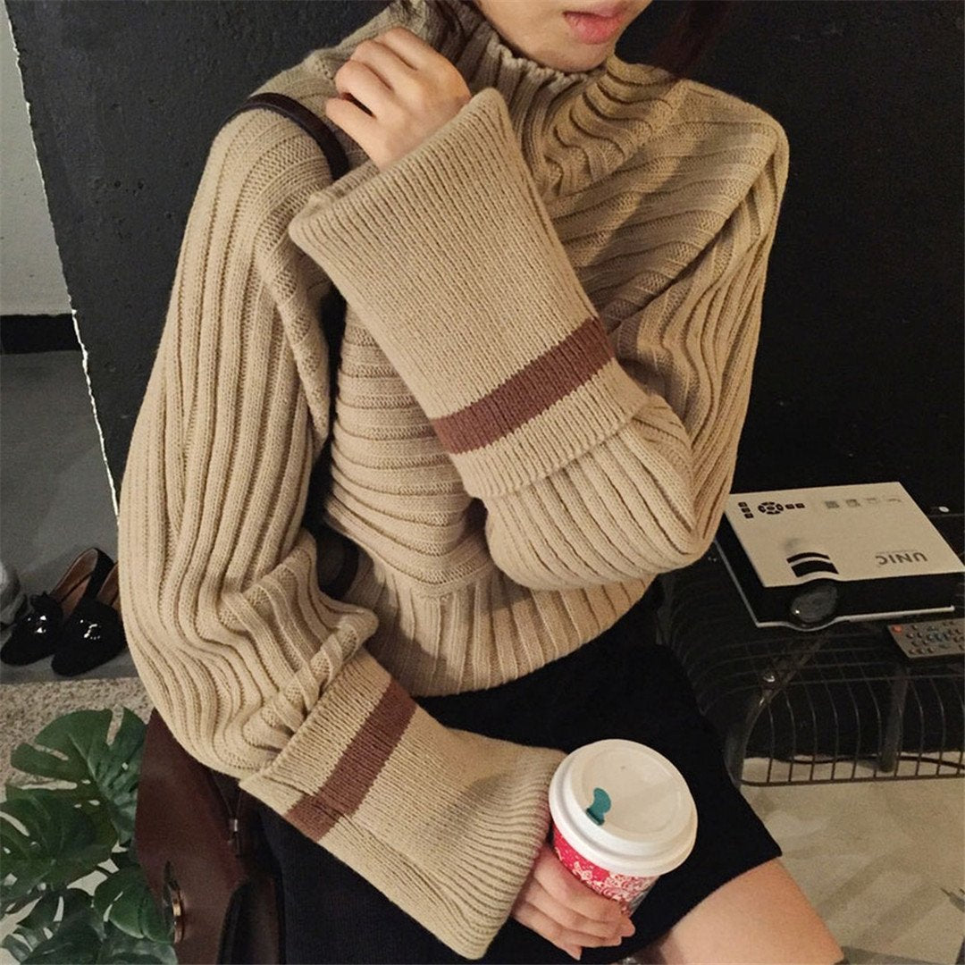 Fashion warm turtle neck sweater