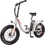 DJ Folding Bike Step Thru 750W 48V 13Ah Power Electric Bicycle, Pearl White
