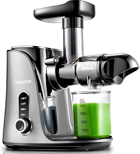 Cold Press Juicer with Two Speed Modes, 2 Travel bottles(500ML)