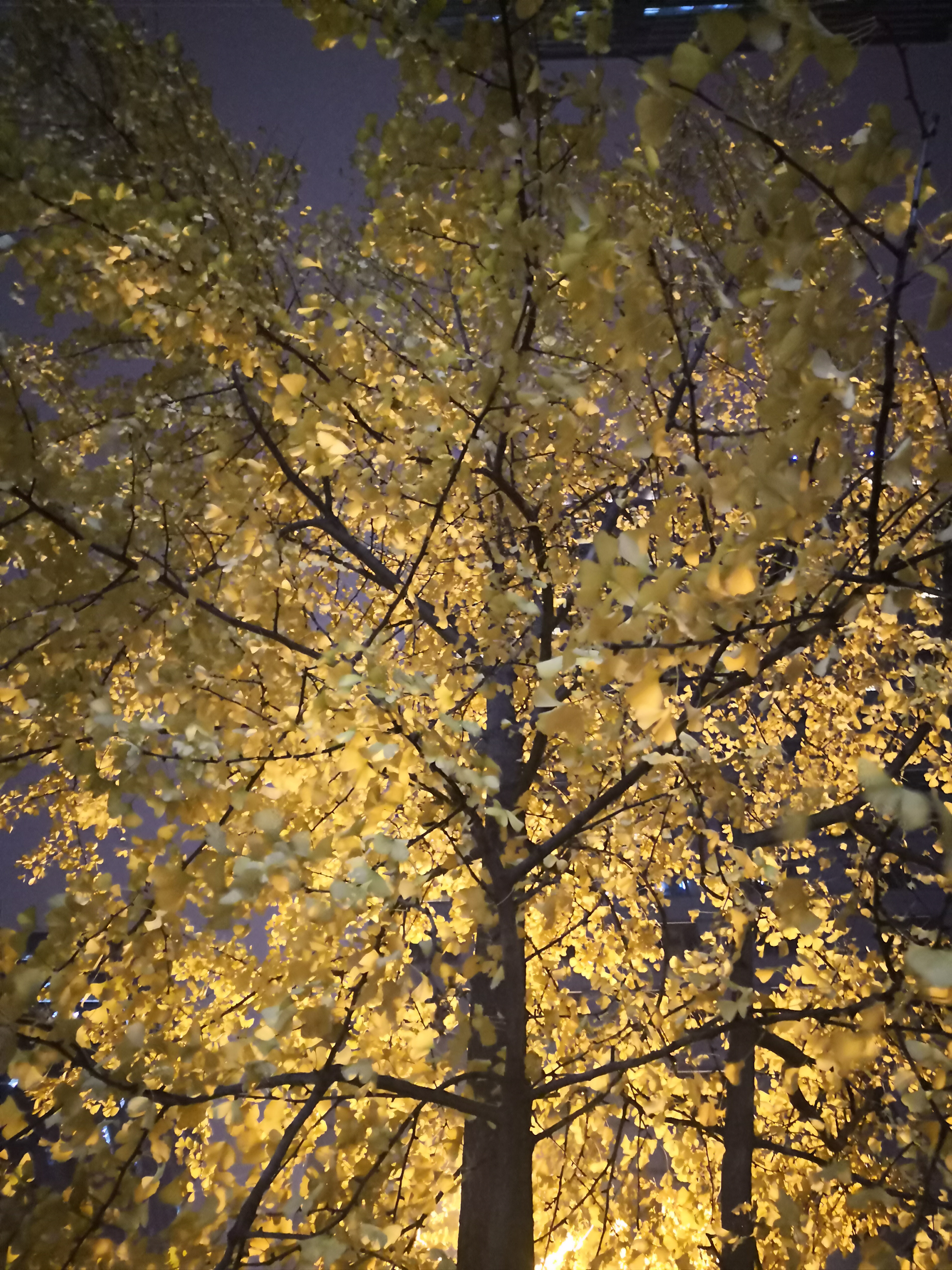 SEO标题111111111111111