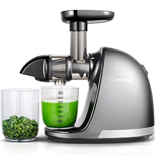 Slow Juicer Extractor Professional Machine