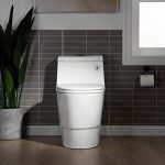 T-0001-BG Toilet, with Brushed Gold Button