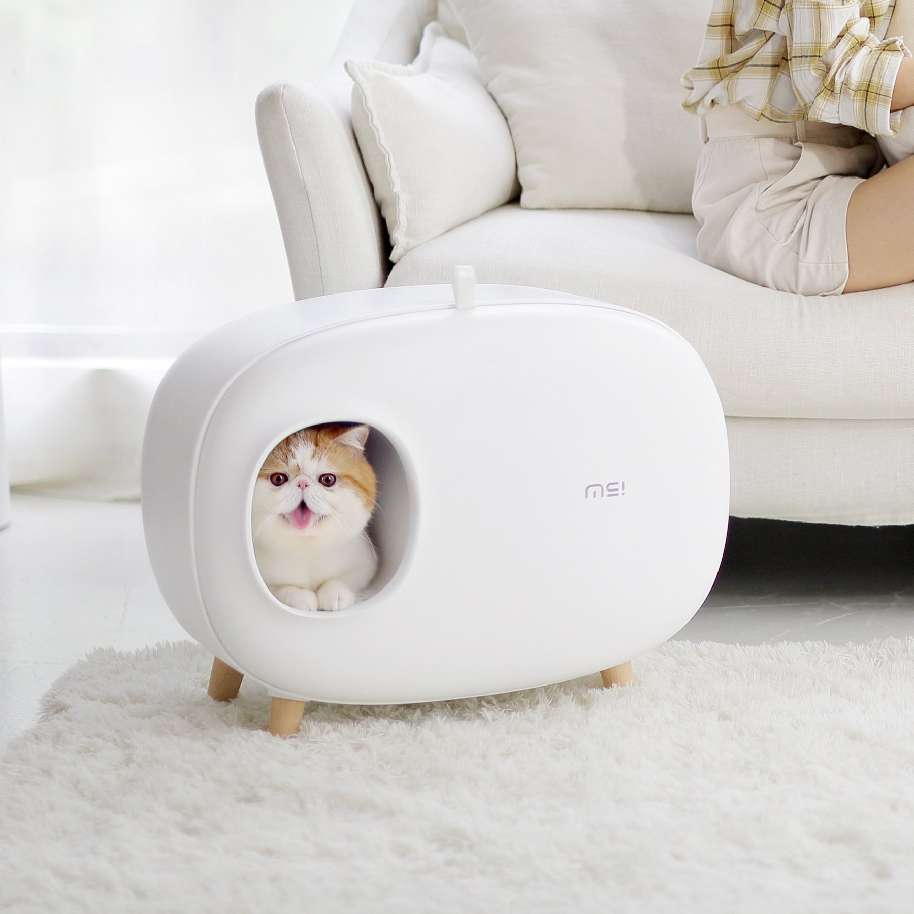 Cat Litter Box