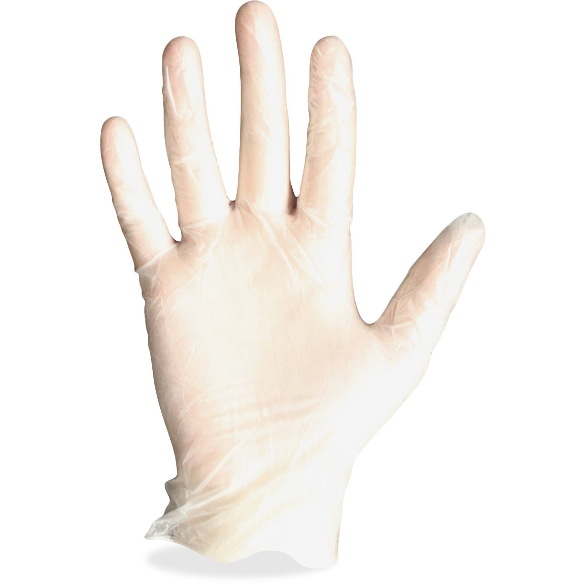 General Purpose Powder-Free Vinyl Gloves, X-Large, Clear, 1,000-carton