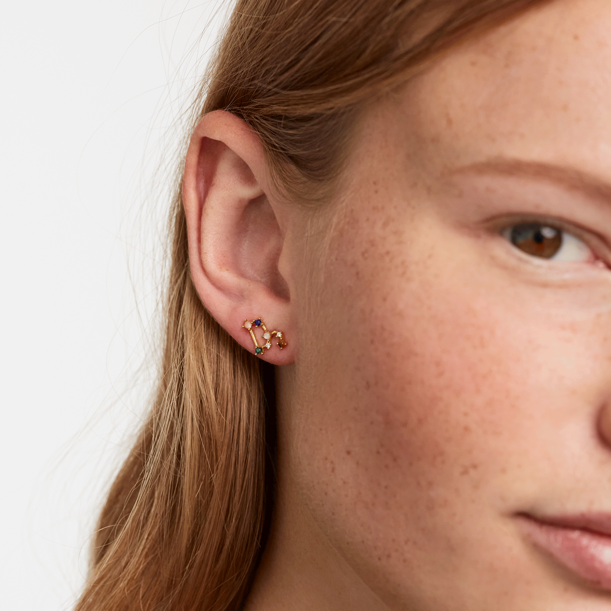 Zodiac Constellations Earrings