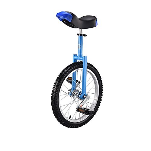 Outdoor Large Wheel Unicycle with Fat Tire, Adjustable Saddle