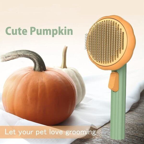 ????Pumpkin Pet Comb