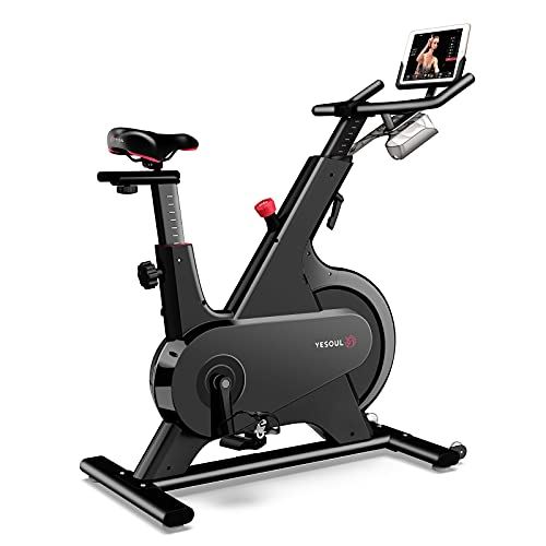 YESOUL Exercise Bikes, Stationary Bikes with 100-Leve Adjustable Magnetic Resistance Natural mute,Built-in Flywheel Safety-(Black)