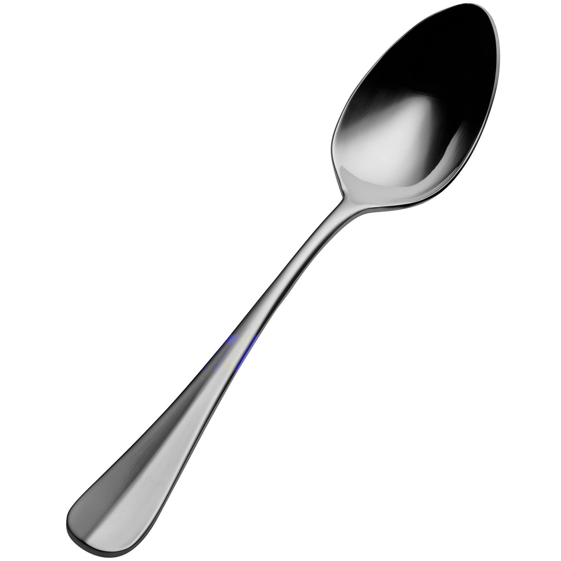 Bon Chef SBS1104 Chambers Tablespoon/Serving Spoon, 9.26x22