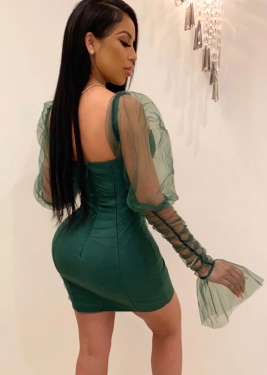 Sexy Vintage Party Dress with Mesh Sleeves