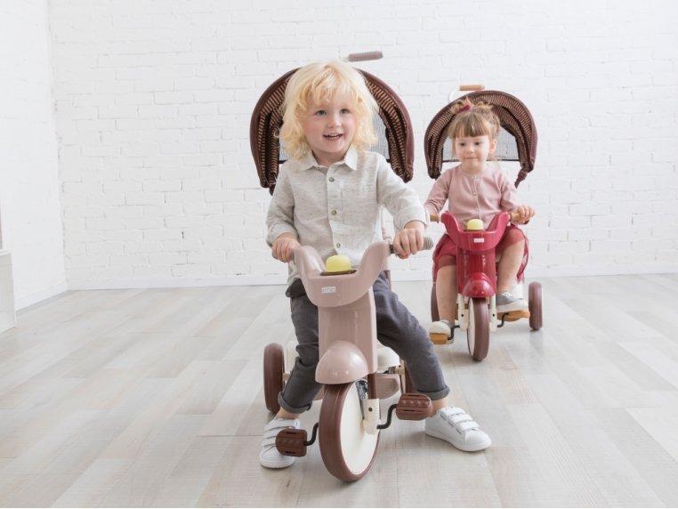 3-in-1 Folding Tricycle with Canopy