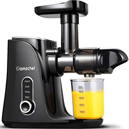 Masticating Juicer Extractor, Cold Press Juicer with Two Speed Modes