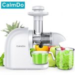 Slow Masticating Auger Juicer Fruit and Vegetable Low Speed Juice Extractor