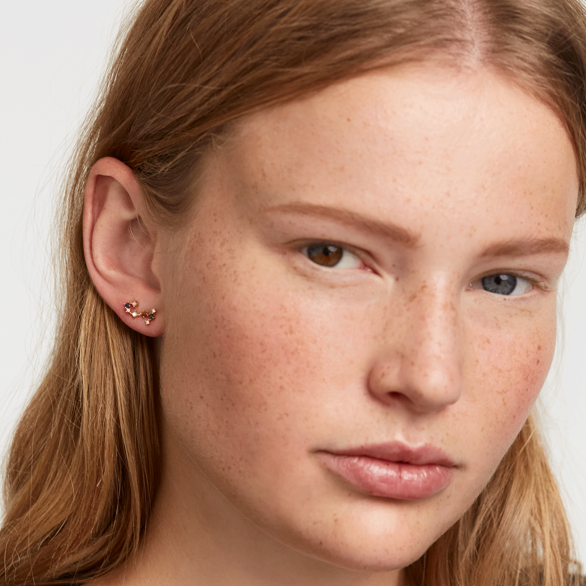 Zodiac Constellations Earrings