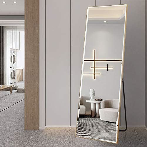 Standing Hanging or Leaning Against Wall Full Length Floor Mirrors/ 22��� x 65���