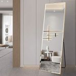 Standing Hanging or Leaning Against Wall Full Length Floor Mirrors/ 22��� x 65���