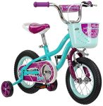 Girls Bike for Toddlers and Kids, 12-Inch Wheels, Teal
