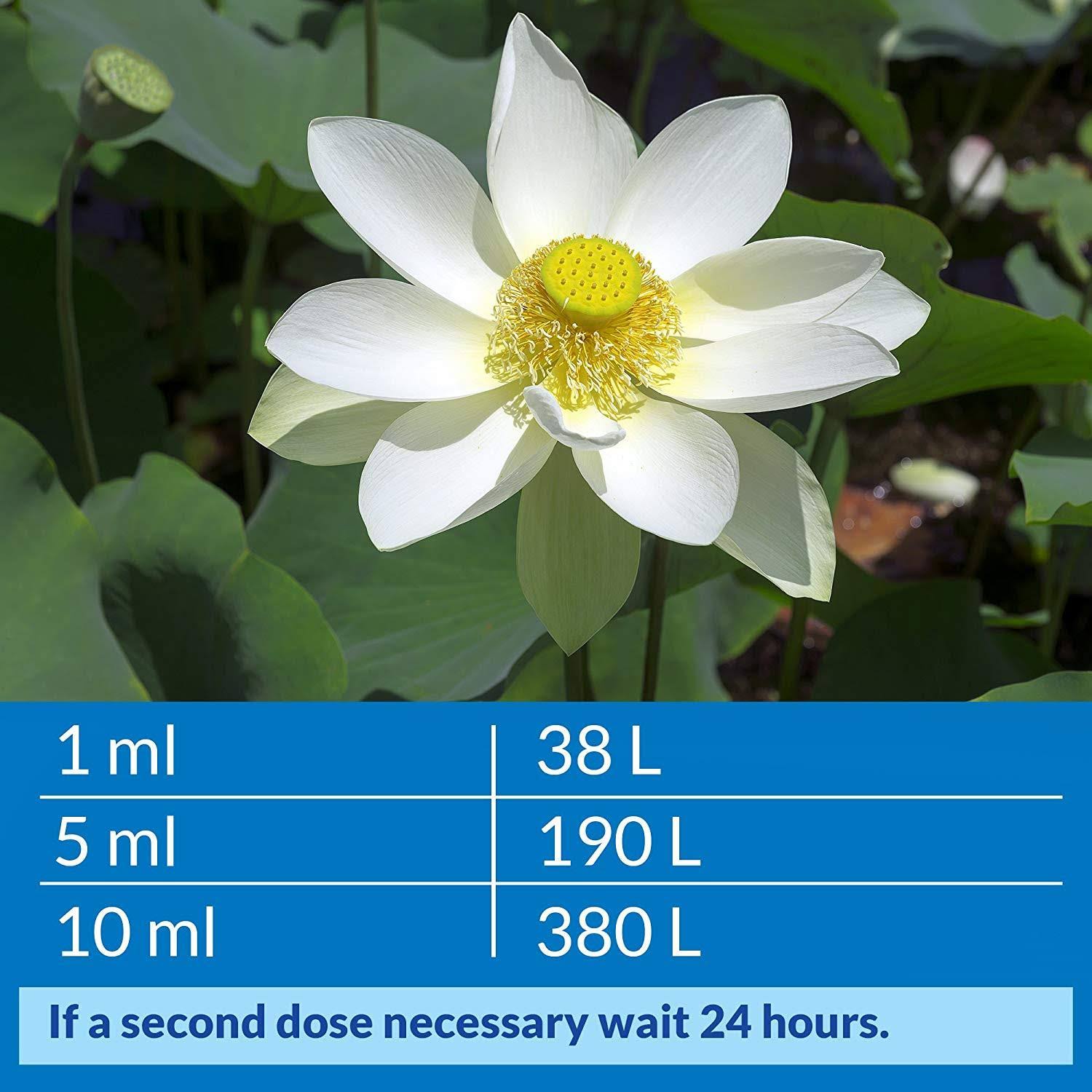 API Pond Accu-Clear Pond Water Clarifier 64 oz