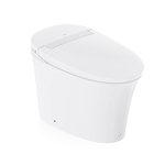Battery-Operated Touchless Auto Flush One-Piece HET Intelligent Toilet
