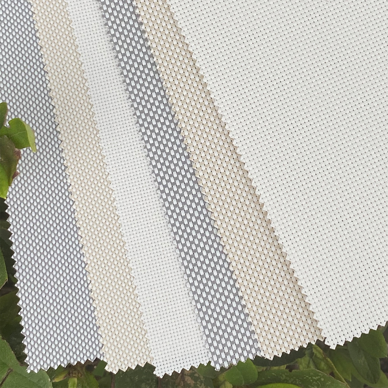 HEDDA Window Roller Shade with Valance Cover Loop Control PVC Roller Shades 95% Blackout For Bath Living Kitchen Dining Room and Office